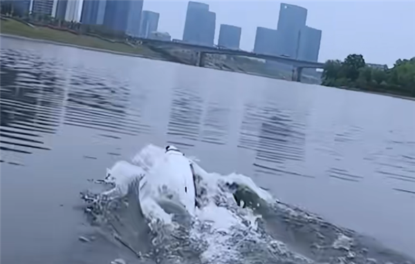 可空中飞行也能水下潜航！湖南年轻团队研发跨介质飞行器