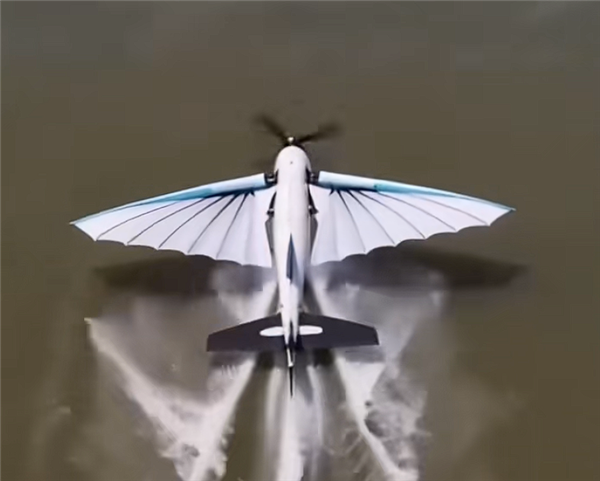 可空中飞行也能水下潜航！湖南年轻团队研发跨介质飞行器