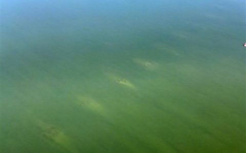 欧洲持续干旱多瑙河水位大降 二战德国沉船遗骸重见天日