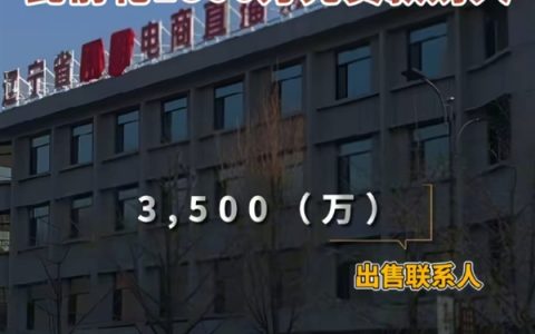 被封两年后！东北雨姐3500万卖电商大楼 此前花1800万贷款购入