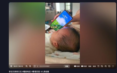 对付骚扰电话新思路：婴语对线