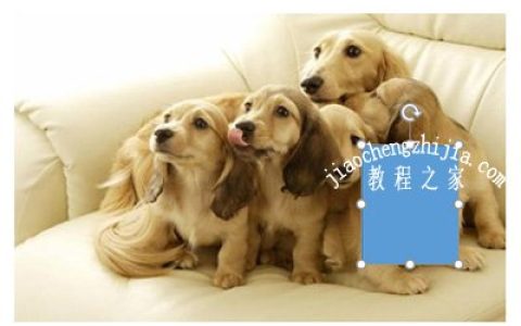 PPT图片怎么打马赛克 几个步骤轻松打码