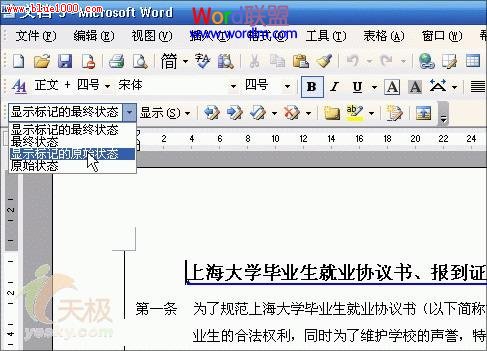 快速实现两个word文档的自动比对,找出多文档之间的差别