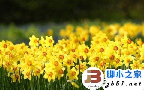 电脑族怎样保护眼睛 常用电脑须学会的九个保护眼睛知识