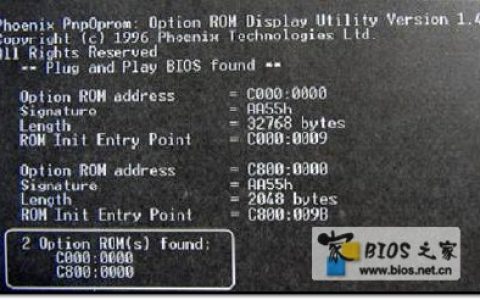 BIOS设置教程：疑难BIOS设置选项详解