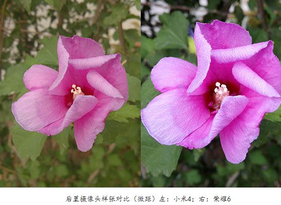 小米4和华为荣耀6手机哪款好?小米4与荣耀6全方面区别对比详细图解