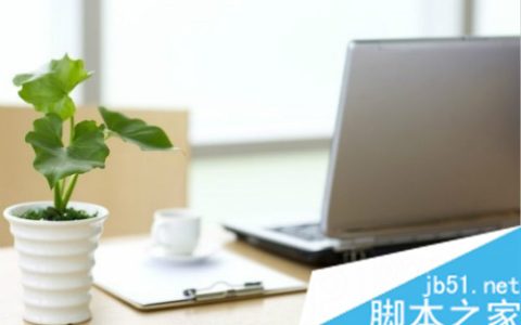 什么植物放在电脑前比较好