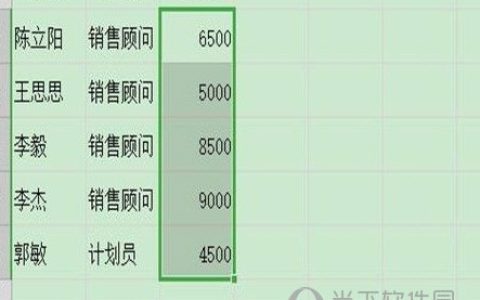 Excel2019怎么设置隐藏单元格 操作方法