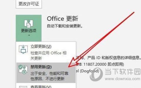 Excel2019怎么禁止自动更新 操作方法