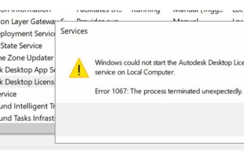 启动Autodesk Desktop Licensing Service时出现错误1067：进程意外终止怎么办