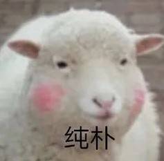 手机被“监听”了也不知道? 这4个设置要关闭,避免隐私泄露