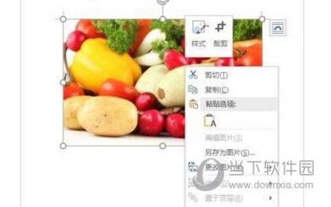 Word2019怎么调节图片透明度 操作方法