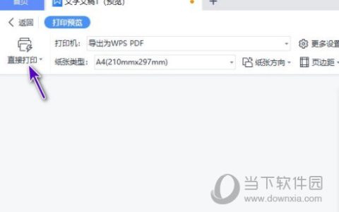 Word2019怎么打印多份 操作方法