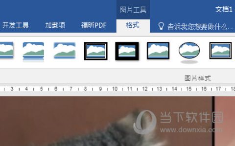 Word2016怎么调整图片亮度 这个技巧教给你