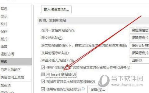 word2019怎么设置Insert键粘贴 操作方法
