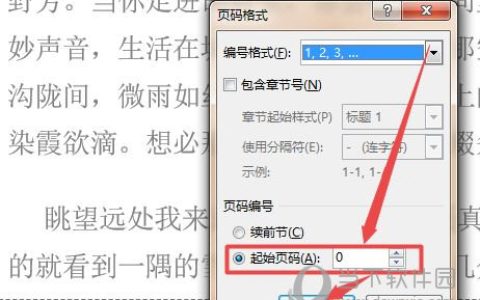 Word2019怎么设置页码首页不设 操作步骤