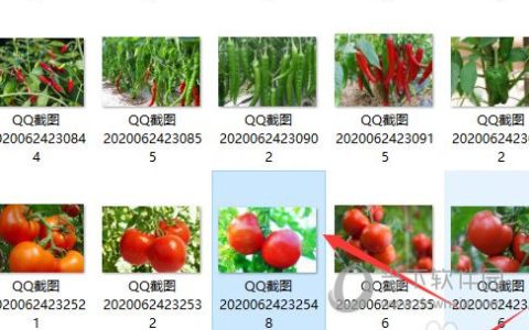 Word2016怎么调整图片色调 操作方法