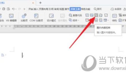 WPS2019怎么插入图片控件 几步轻松添加
