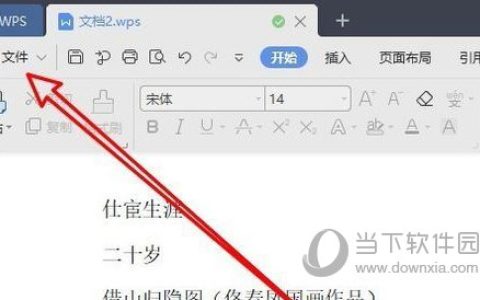 WPS2019如何修改文档修订者姓名 看完你就知道了