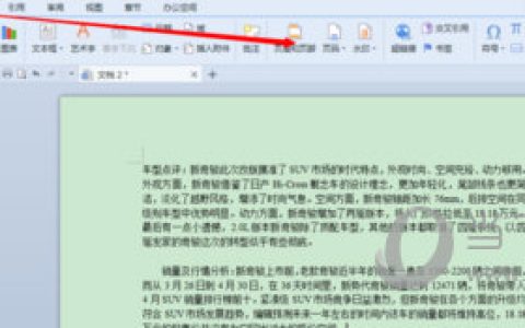 WPS2019怎么单独编辑页码 看完你就知道了