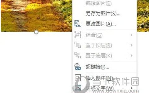 WPS2019怎么修改图片像素 看完你就知道了