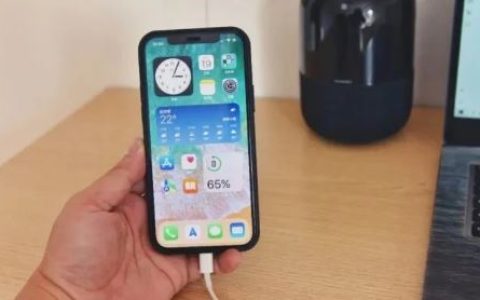 手机只有1%的电充不进去电怎么办 手机充电失败的解决办法