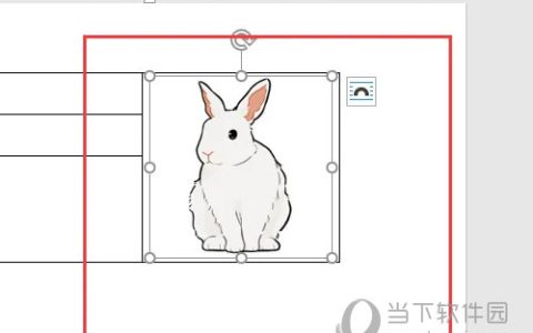 Word2021怎么表格插入图片不变形 操作步骤
