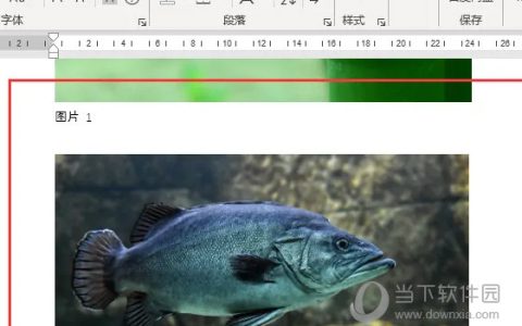 Word2021怎么给图片插入题注 操作步骤