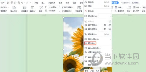 WPS2019怎么给图片注解文字