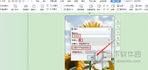 WPS2019怎么给图片注解文字