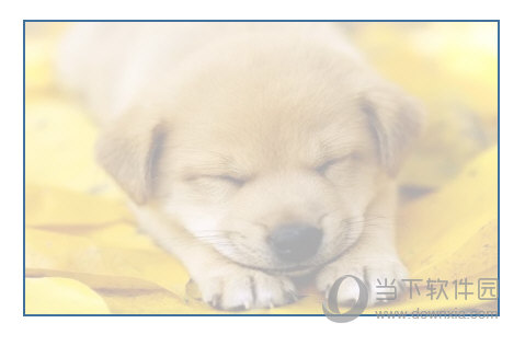 WPSword设置图片透明度