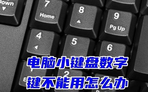 电脑数字键打不出数字怎么版 电脑小键盘数字键不能用的解决方法
