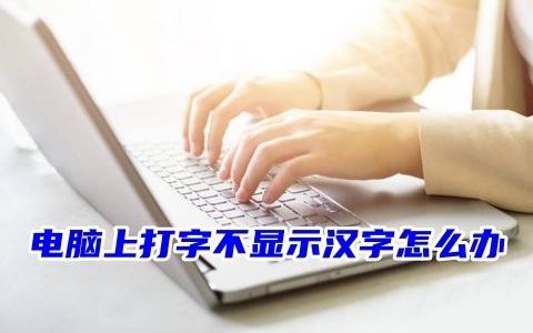 电脑打不了字只有字母怎么办 电脑上打字不显示汉字的解决方法