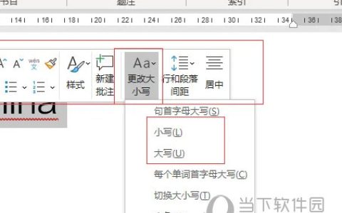 Word2021怎么英文更改大小写 操作方法
