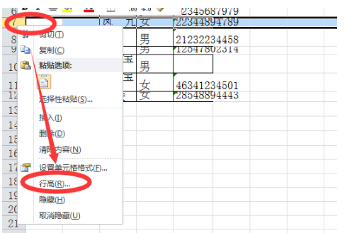 excel如何调整所有行高列宽 四种方法教你快速调整所有行高列宽