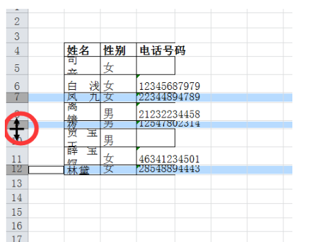 excel如何调整所有行高列宽 四种方法教你快速调整所有行高列宽