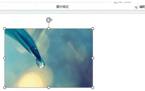 PPT2021图片怎么设置铅笔灰度艺术效果 几个步骤轻松设置铅笔灰度艺术效果