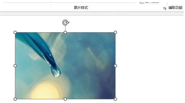 PPT2021图片怎么设置铅笔灰度艺术效果 几个步骤轻松设置铅笔灰度艺术效果