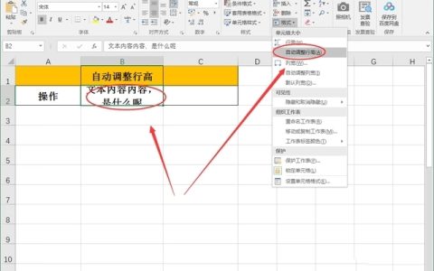 excel自动调整行高无效怎么办 自动调整行高没反应问题解决方法分享