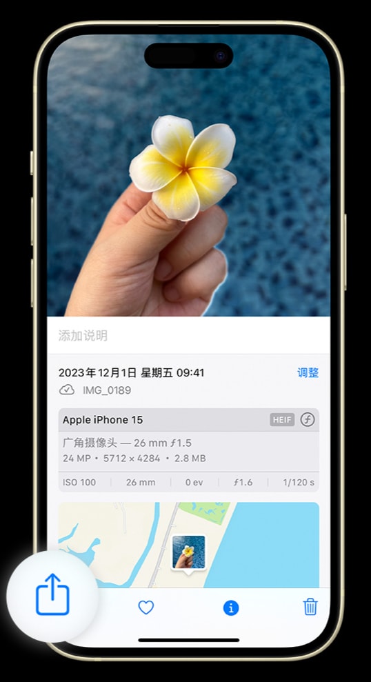 如何在 iPhone 上将照片转为 JPG 格式共享给他人?