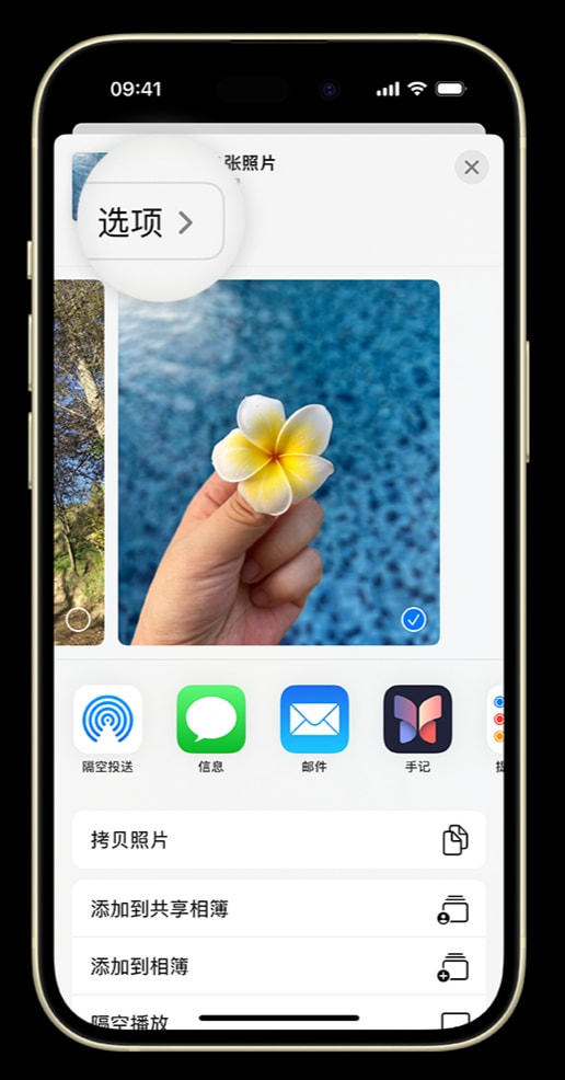如何在 iPhone 上将照片转为 JPG 格式共享给他人?