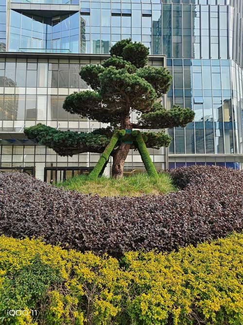 2023年什么样的配置才算性价比高的手机? 高性价比安卓手机推荐