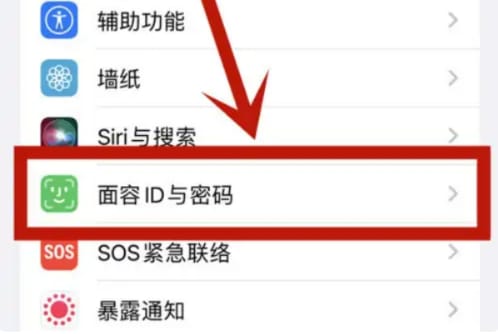 下载App时无法使用面容ID怎么办?