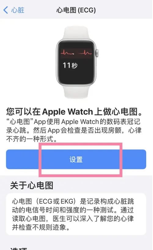 如何使用苹果iPhone 15测心率?