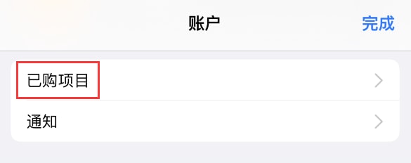 如何在 iPhone 上查看和重新下载 App Store 已购项目?