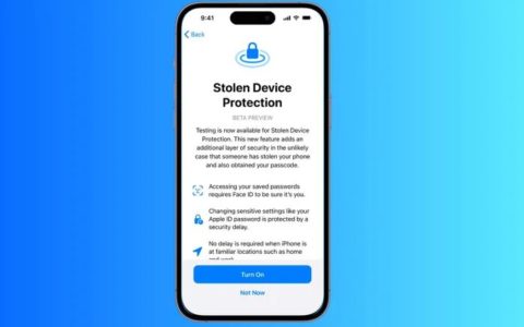 iOS17.3如何使用失窃设备保护功能 iOS17.3新增失窃设备保护功能使用方法