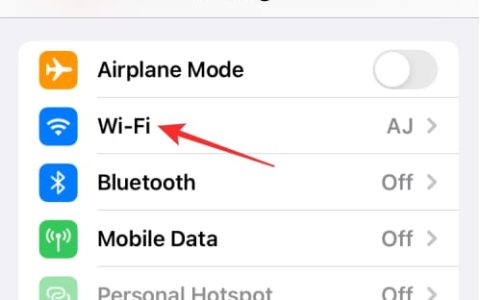 iPhone手机如何查找MAC地址 iPhone手机查找MAC地址方法