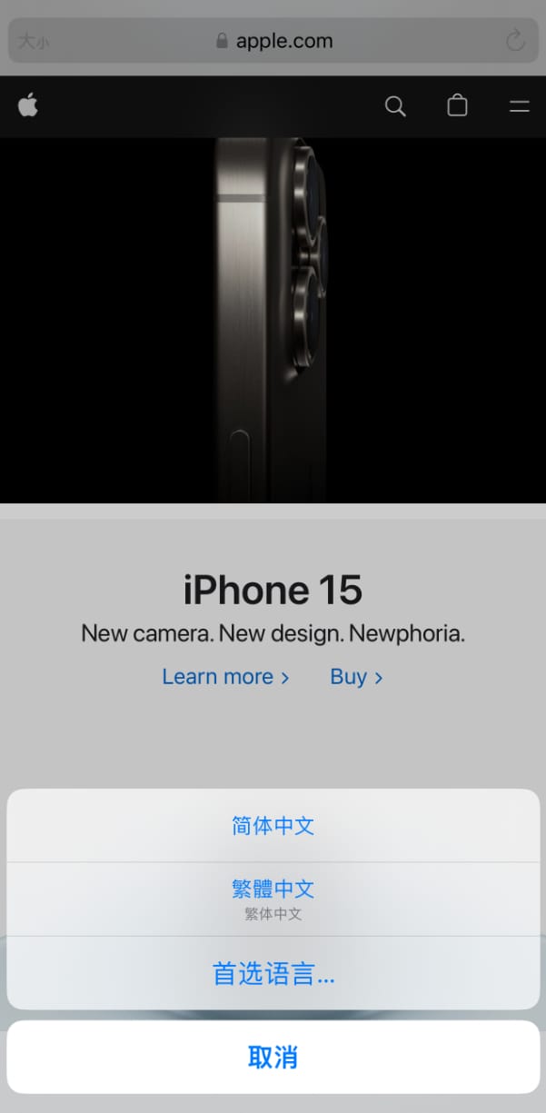 在 iPhone 上使用 Safari 浏览器翻译网页:可设置多种翻译语言