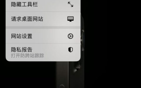 iPhone浏览器如何设置多种翻译语言 iPhone浏览器设置多种翻译语言方法
