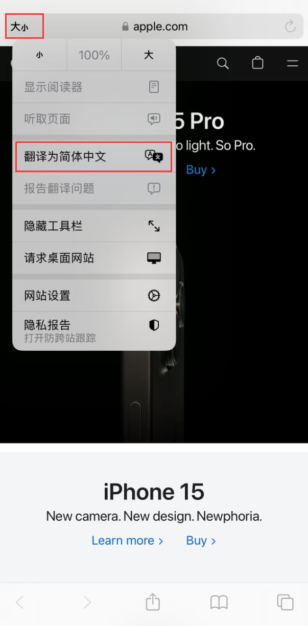 在 iPhone 上使用 Safari 浏览器翻译网页:可设置多种翻译语言